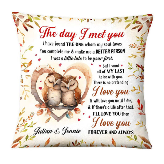 Personalized Gift For Couple Owl Couple The Day I Met You Pillow