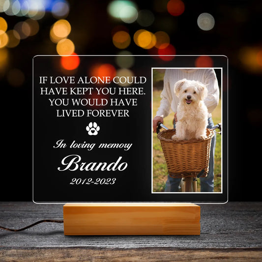 Pet Memory - Personalized Memorial Dog Passing Night Light, Pet Remembrance Gift Dog, Cat Lovers, Pet Memorial Night Light