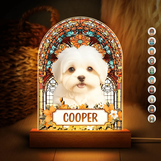 Custom Photo Pet Memorial 3D Acrylic Plaque LED Night Light